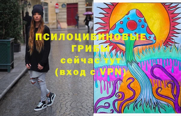 тгк Аркадак