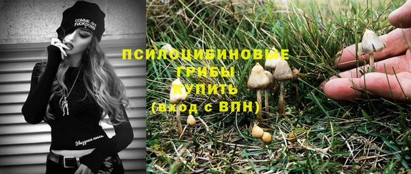 тгк Аркадак