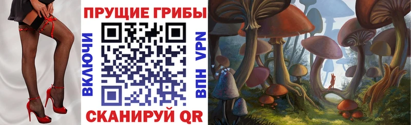 Псилоцибиновые грибы Psilocybe сайты даркнета состав Свирск